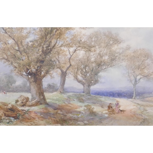 913 - Thomas Colman Dibdin, Parkland, monogramed DB, watercolour, 74 x 43cm