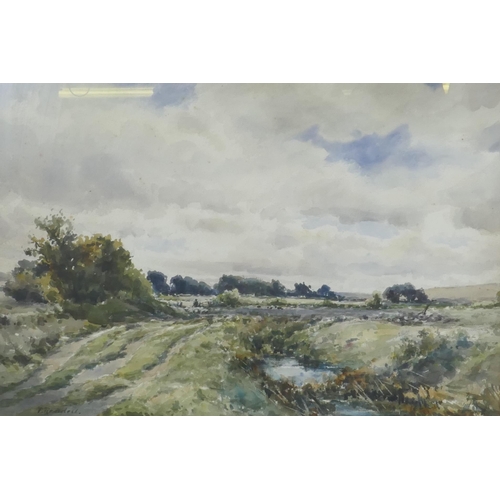 916 - P. Rendell, landscape with heathland, watercolour, signed, 53 x 37cm, and another, coastal scene, po... 