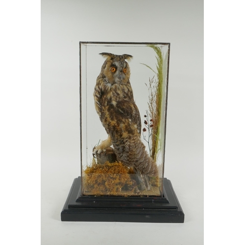 94 - An antique taxidermy short eared owl, in a leaded glass case, 29 x 21cm, 42cm high