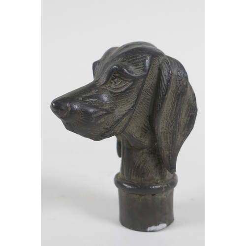 227 - A bronze walking stick handle in the form of a Spaniel, 7cm 