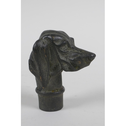 227 - A bronze walking stick handle in the form of a Spaniel, 7cm 