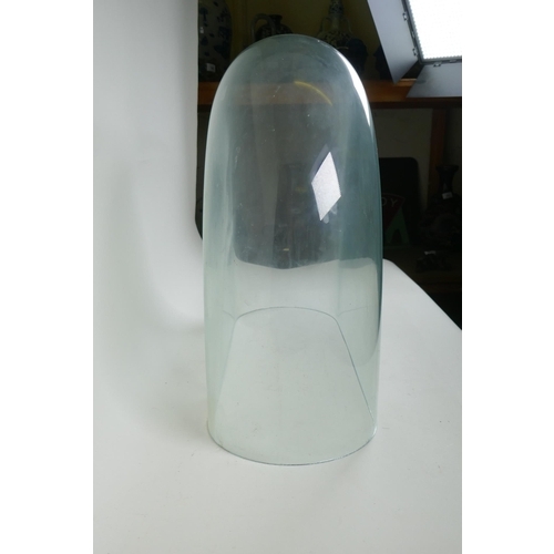 304 - A large oval glass dome, 54 x 20cm, 46cm high