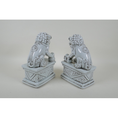 149 - A pair of Chinese blanc de chine porcelain temple lions, impressed marks to the reverse, 24cm high