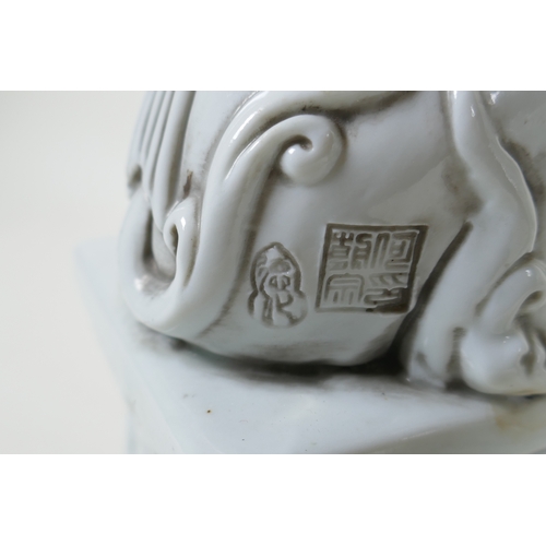 149 - A pair of Chinese blanc de chine porcelain temple lions, impressed marks to the reverse, 24cm high