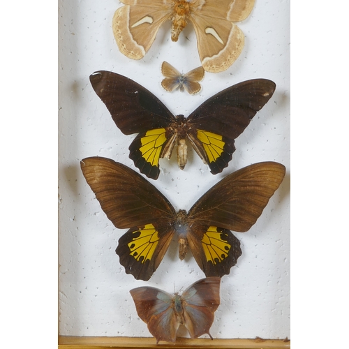 160 - A pair of framed taxidermy butterfly displays and an inlaid wood Rio de Janeiro butterfly wing tray,... 