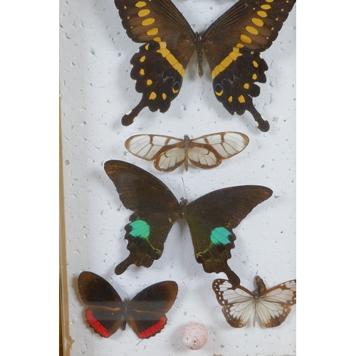 160 - A pair of framed taxidermy butterfly displays and an inlaid wood Rio de Janeiro butterfly wing tray,... 