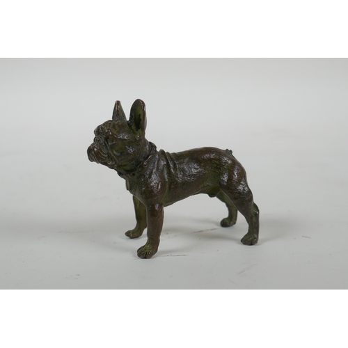 174 - A bronze French bulldog, 7cm long