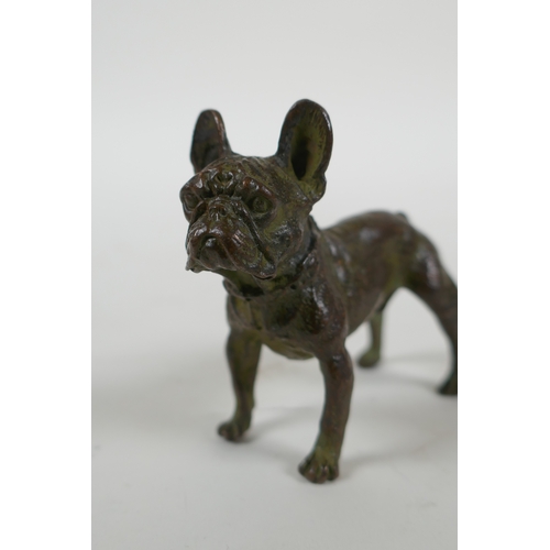 174 - A bronze French bulldog, 7cm long