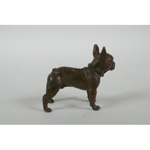 174 - A bronze French bulldog, 7cm long