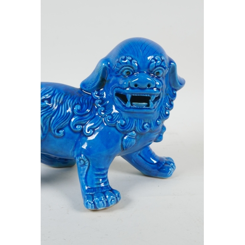 225 - A Chinese turquoise glazed porcelain temple lion, 26cm long