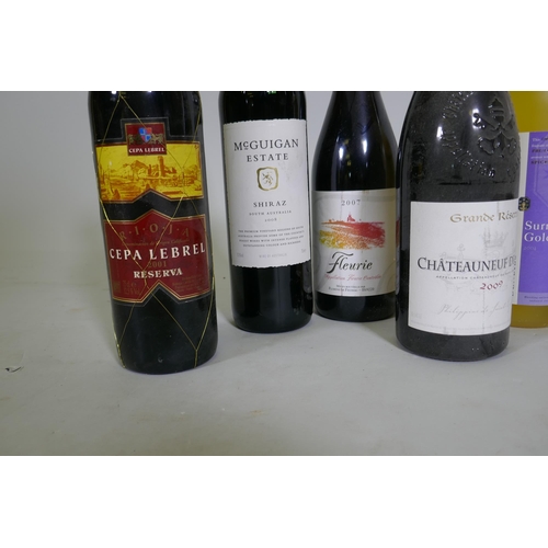 100 - Mixed wines and spirits, Chateauneuf du Pape, Grande Reserve 2009; Gevrey-Chambertin, Domaine Roy Ma... 