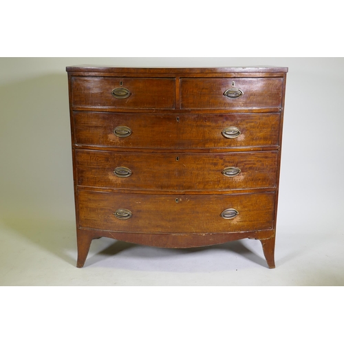 1103 - A George II mahogany bow front chest of two over three drawers, with brass plate handles, raised on ... 