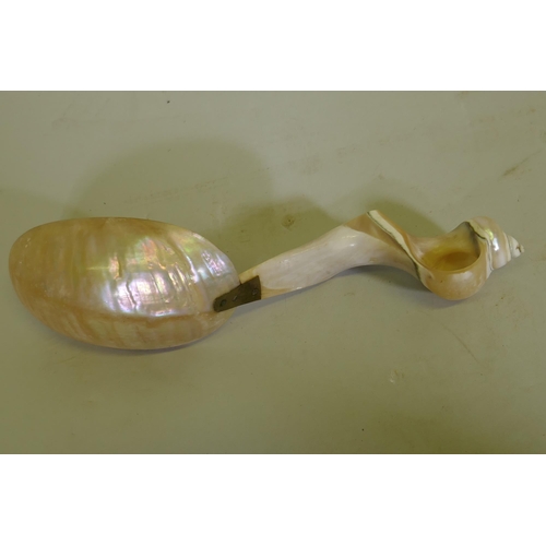 114 - Antique mother of pearl spoon carved from a conch shell, 25cm long