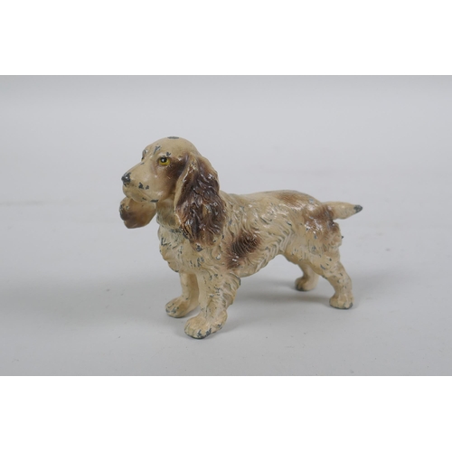 136 - A Vienna style cold painted metal spaniel, 11cm long