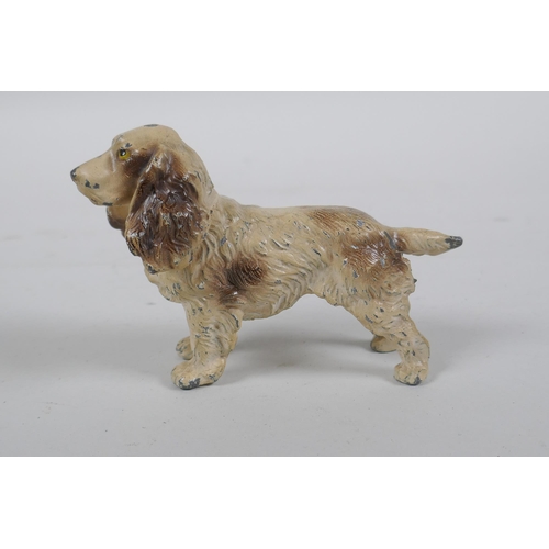 136 - A Vienna style cold painted metal spaniel, 11cm long