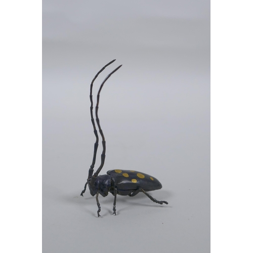 175 - A Japanese style bronze okimono elderberry  longhorn beetle with gilt splash decoration to the ... 