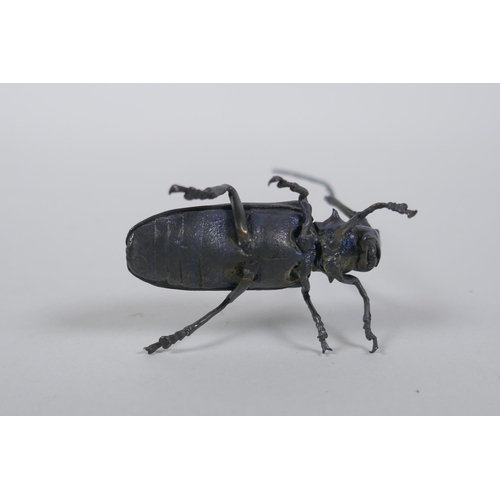 175 - A Japanese style bronze okimono elderberry  longhorn beetle with gilt splash decoration to the ... 