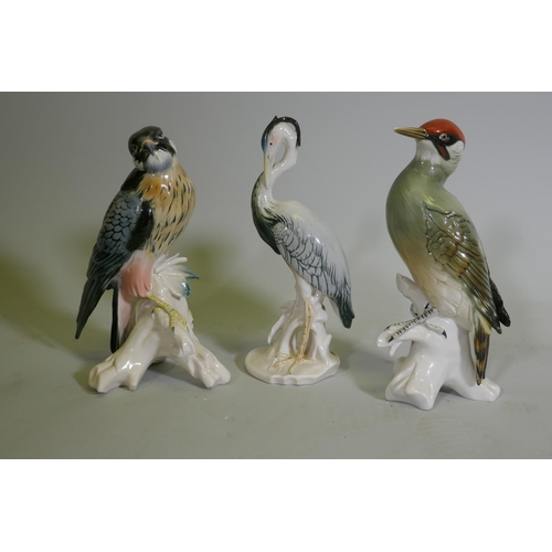 75 - A Karl Ens porcelain figure of a woodpecker, marked 7527, 25cm high, a hawk 7514 and a stork 7800