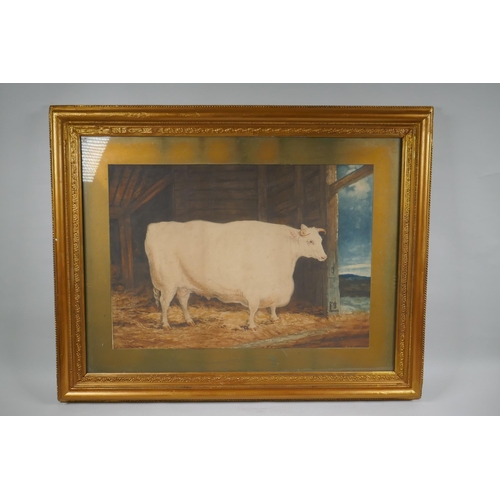 873 - After George Garrard, (English, 1760-1826), The Durham White Ox, coloured mezzotint, 60 x 43cm