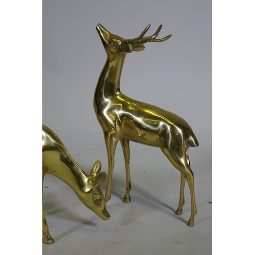 90 - A hollow cast brass figure of a stag and doe, 35cm high