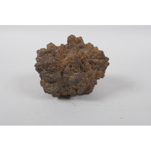 100 - Natural history interest, a weathered Marcasite nodule from the Chalk, 10cm diameter, with thanks on... 