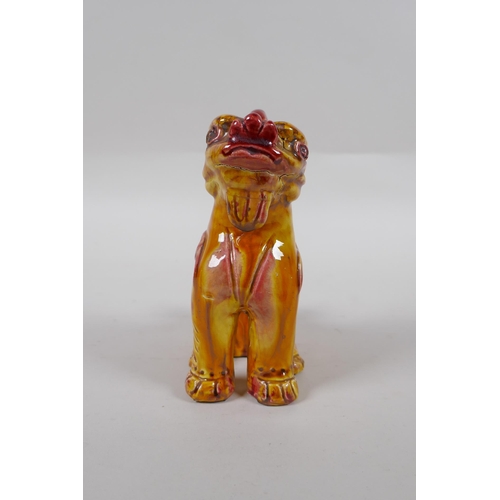 139 - A Chinese amber glazed porcelain fo dog, 13cm high