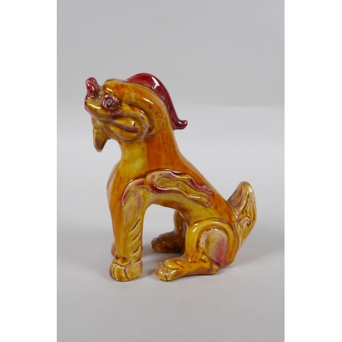 139 - A Chinese amber glazed porcelain fo dog, 13cm high