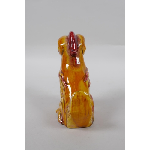 139 - A Chinese amber glazed porcelain fo dog, 13cm high