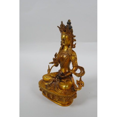 146 - A Tibetan gilt bronze figure of Vajrasuttra, double vajra mark to base, 20cm high