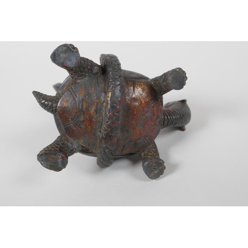 206 - A Chinese bronze figure of a tortoise and snake entwined with each other, with the remnants of gilt ... 