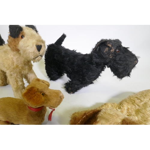 216 - Antique stuffed toys, Angus terrier, terrier, possibly Chad Valley, push dog with rubber head and ro... 