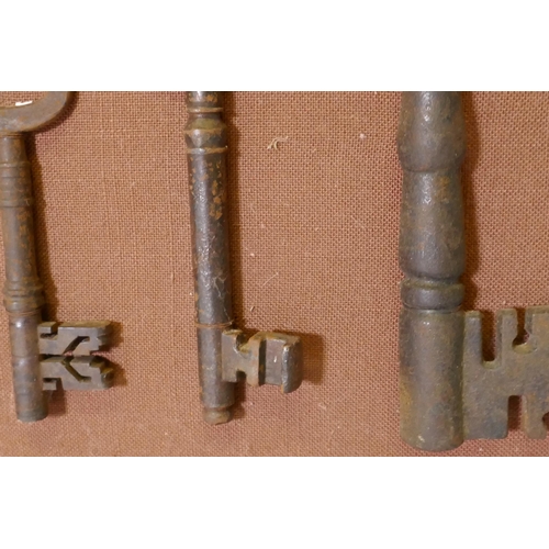 25 - A collection of seven antique keys, mounted on a pine frame, largest key 28cm long