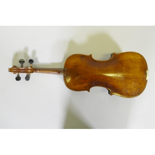 29 - Early C20th full size violin stamped Hopf, with two piece back, 35.5cm long without button, and a bo... 