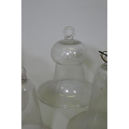 44 - A collection of antique glass bell jars, largest 30cm high