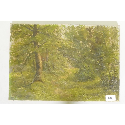 846 - Jean de Haen, wooded landscape, signed, late C19th, oil on canvas, 30 x 43cm