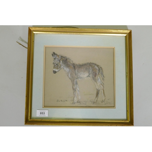 853 - Vera Hawerth, donkey foal, crayon and wash, signed, inscribed verso 'For Jessica', 24 x 21cm