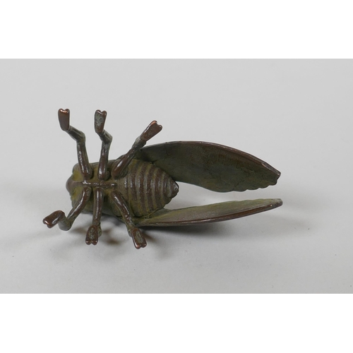 88 - A Japanese style bronze okimono cicada, 5cm long