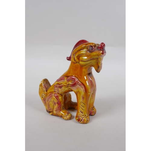 279 - A Chinese amber glazed porcelain fo dog, 13cm high