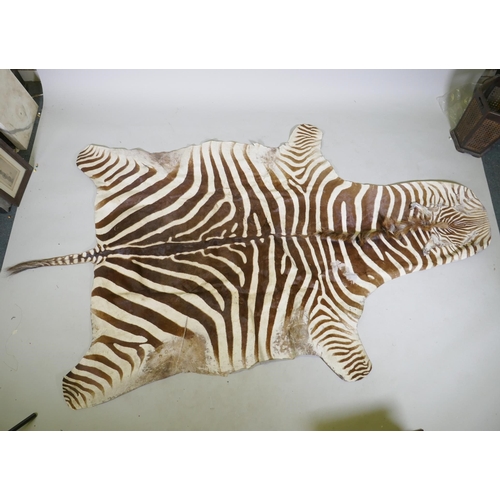 1038 - A Zebra skin rug, 152 x 265cm