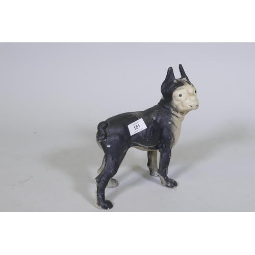 151 - A cold painted cast iron door stop in the form of a French Bulldog, 24cm high