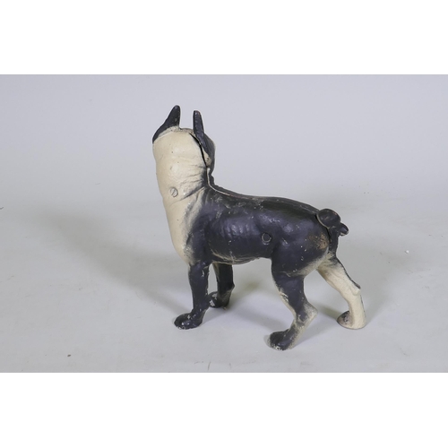 151 - A cold painted cast iron door stop in the form of a French Bulldog, 24cm high