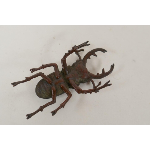 189 - A Japanese style bronze okimono stag beetle, 5cm long