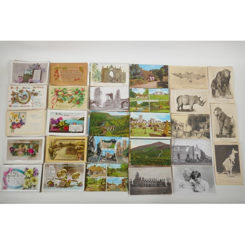 255 - A quantity of late C19th and C20th postcards, mainly UK, including some natural history, and a quant... 