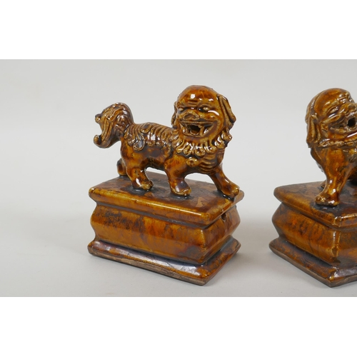 73 - A pair of Chinese ochre glazed porcelain fo dogs, 10cm high