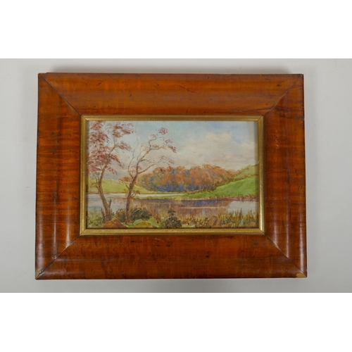 837 - R.D. Perceval, Portulla wood from Roughal Ford, Northern Ireland, C19th watercolour landscape in a m... 