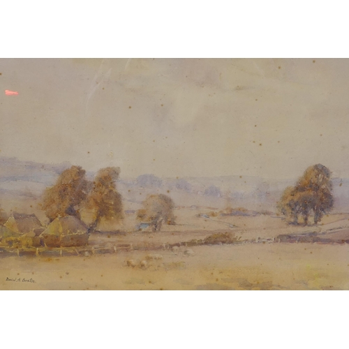 839 - David A. Baxter, landscape with grazing sheep, signed, watercolour, 37 x 53cm