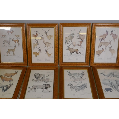 873 - Rowland Ward's 'Game Animals of Africa', Set I and II, the latter signed by Clare Abbot and numbered... 