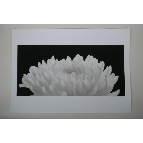 928 - After Hiroyuki Arakawa (Japanese, b.1951), A Spiritual Power, photographic print from his flowers se... 