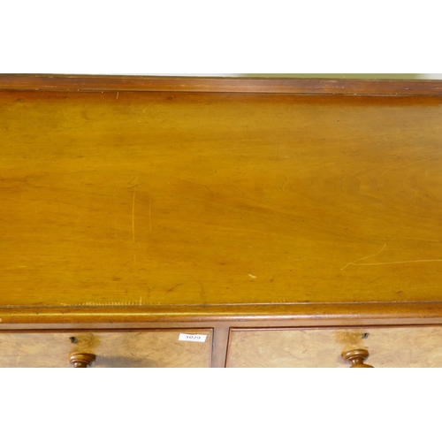 1029 - A Victorian walnut chest of two and three drawers with rounded ends, raised on bun supports, 102 x 5... 