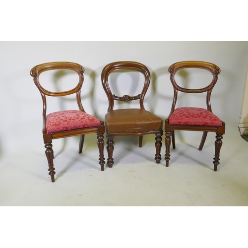 1088 - A pair of Victorian carved mahogany balloon back side chairs, raised on reeded tapering supports, an... 